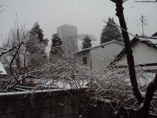 ３月７日の雪.jpg